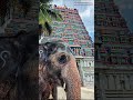 Shringeri Sharda Peetham #shringeri #southindia #shardapeeth #shardapeethm