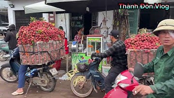 Đặc sản tắc đường mùa vải tại cầu chợ Kim Lục Ngạn ngày 20/06