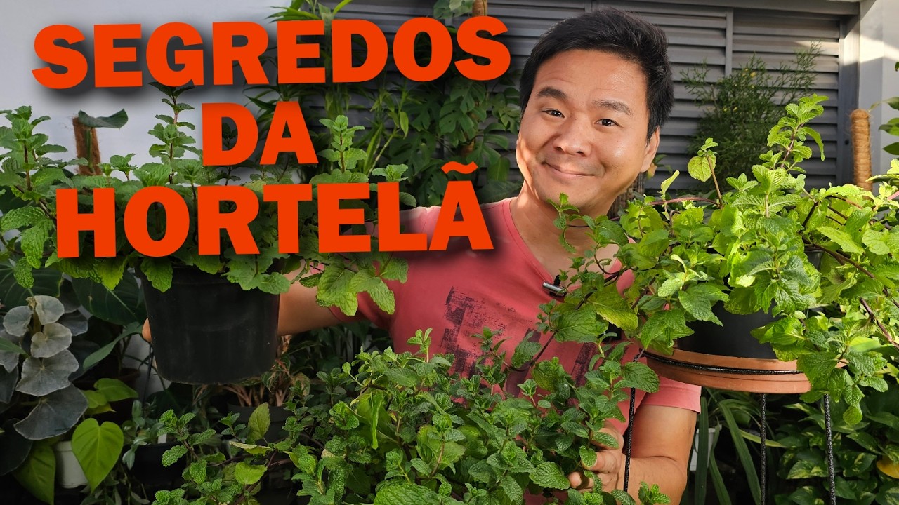 Como cultivar Hortelã.