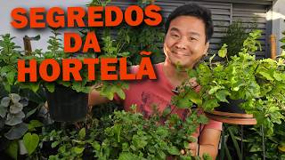 How to grow Mint.