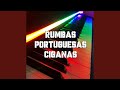 Rumba portuguesa 2024 para danar