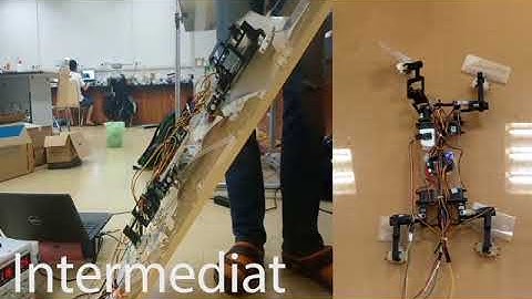 Neural Control for Gait Generation and Adaptation of a Gecko Robot