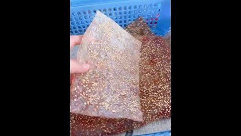 Khô Cá Thiều Tiêu Sọ Phú Quốc - Đặc Sản Kiên Giang