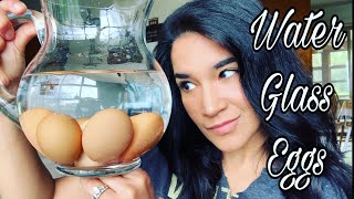 Water glassing eggs! Preserving eggs for long-term storage. Tutorial step by step
