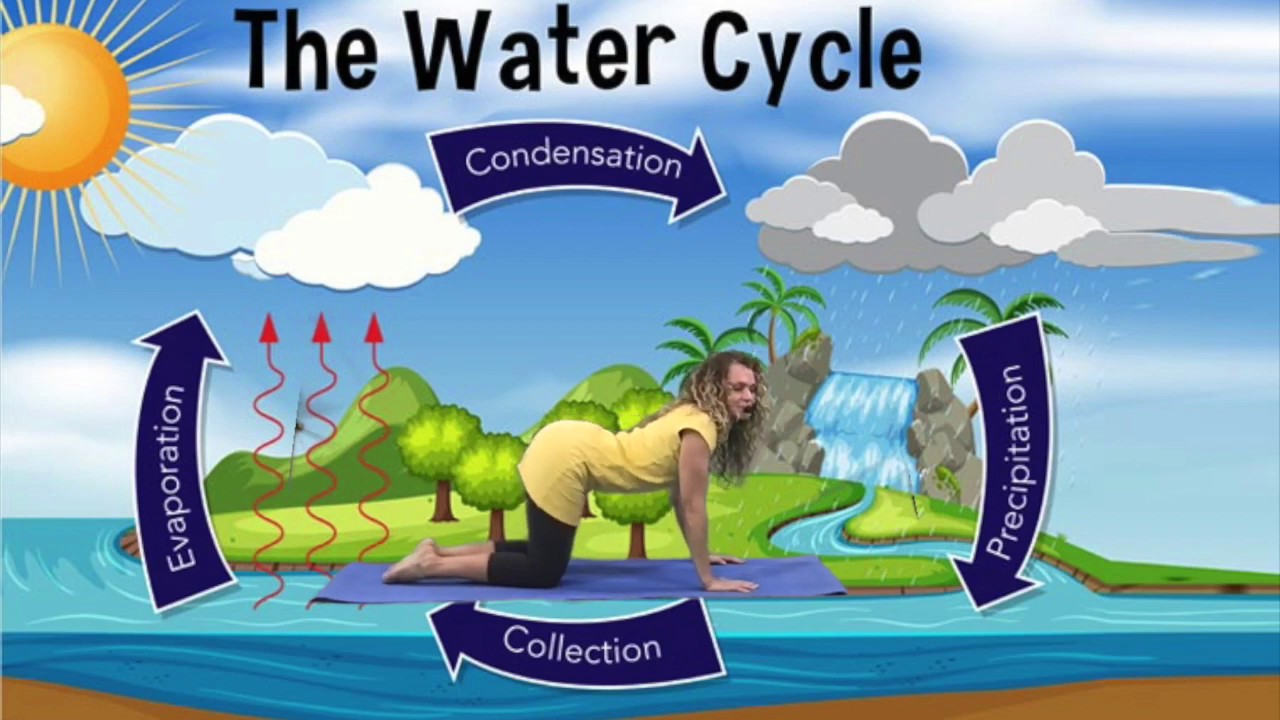 Water Cycle Yoga Water Cycle Nitrogen Cycle World Water Crisis