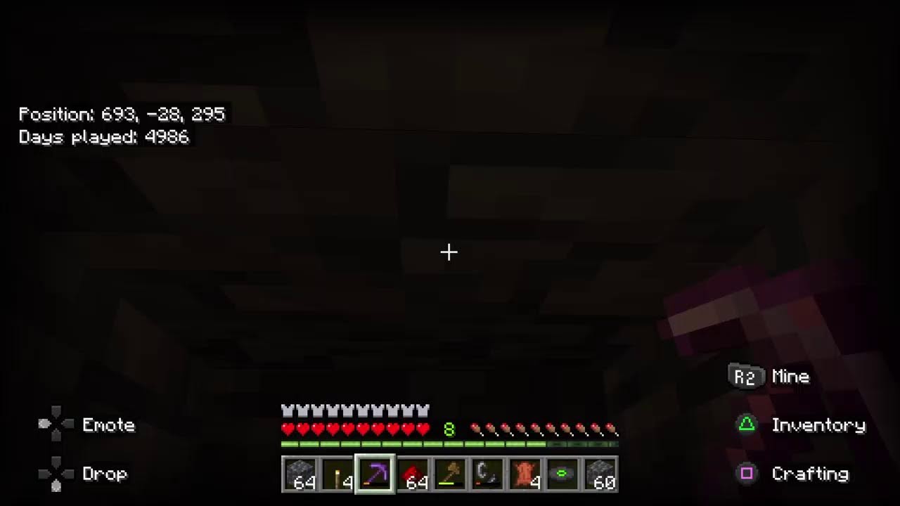 Timelord7989 November 9 2025 Midnight  Minecraft realm