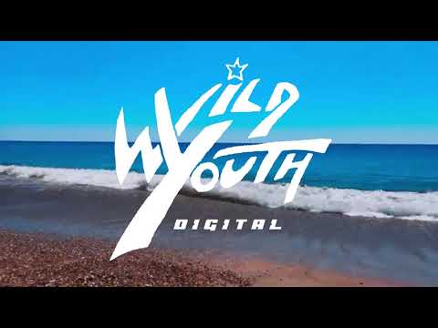             محمد منير زوق