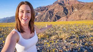 We Found Flowers In The HOTTEST Place On EARTH