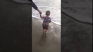 Dog flips baby on beach meme