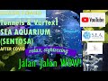 (2/4) SEA Aquarium | Walking Tunnels &amp; Vortex of Fishes | Sentosa | Singapore | 2021 (during COVID)