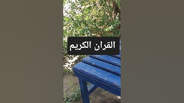سورة العنكبوت بصوت الشيخ مشاري العفاسي