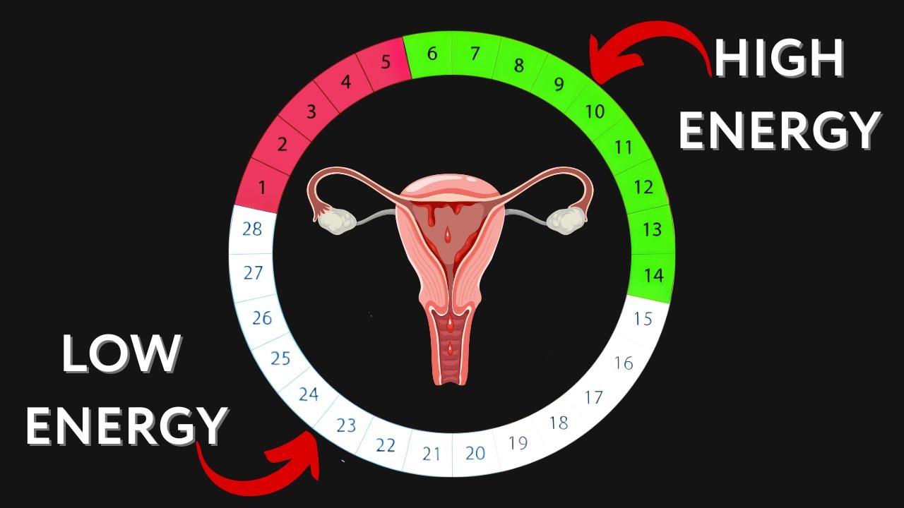 Knowing THIS about your menstrual cycle could CHANGE your life YouTube Knowing THIS about your menstrual cycle could CHANGE your life YouTube