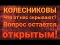 Семья Колесниковых/Новости из Дворца.