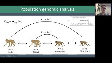 Examining Reinforcement Speciation in Macaques using Genomic Data - Evolution 2021