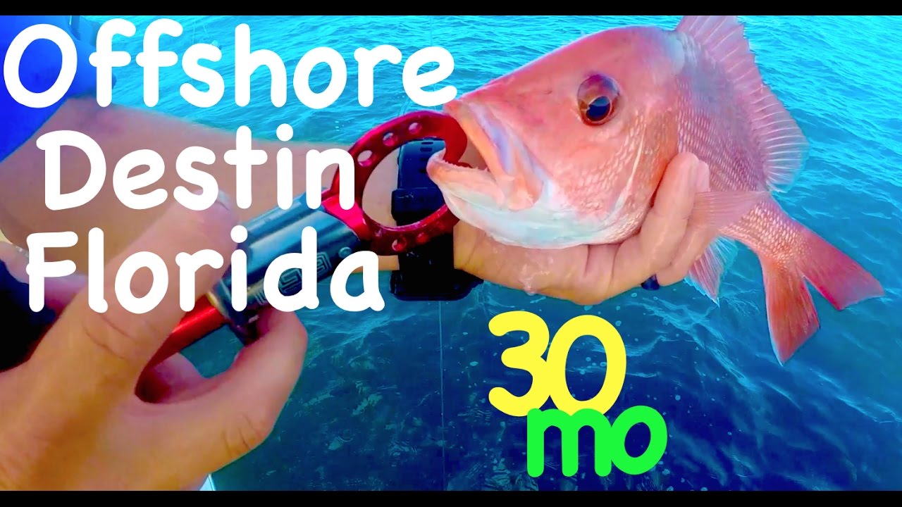 OFFSHORE FISHING Snapper in Destin Florida Boat Fishing YouTube