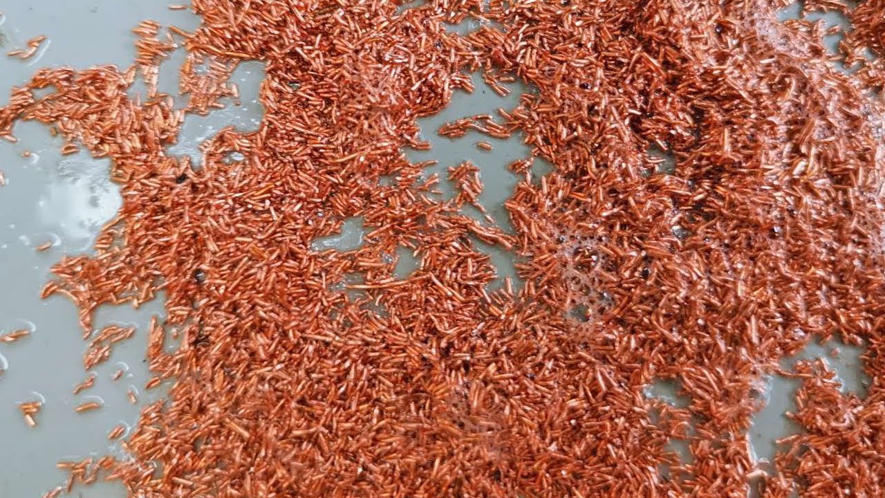 Cable Recycling Machine How to Remove Oil from Plastic Coatings of