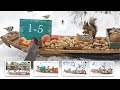 The traveling bird feeder 15  relax with squirrels  birds  6 hours 