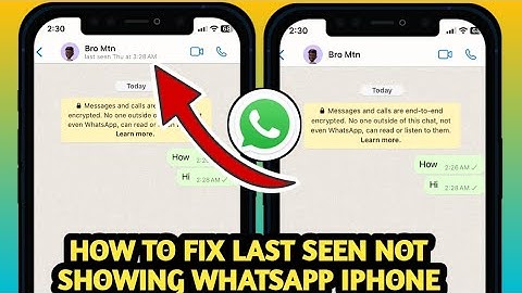 How To Fix WhatsApp Last seen Not Showing in whatsapp iPhone 2025