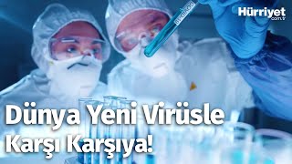 Çinde Yeni Tip Domuz Gribi Virüsü Ortaya Çıktı