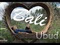 BALI UBUD ( Best things to do in UBUD ) /  رحلتي إلى بالي