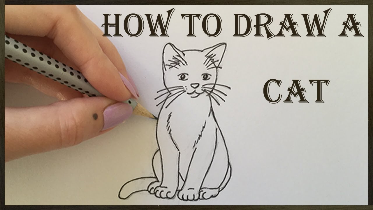 Cat Drawing - How to Draw a Cat - YouTube