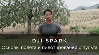 DJI – Инструкции Spark – Основы полета и пилотирования с пульта DJI – Инструкции Spark – Основы полета и пилотирования с пульта
