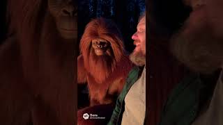 @MrTonyoftheDead and Sasquatch #ai