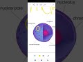 لطلاب كلية علوم و الكليات العلميه Cytology Part 4 مع فاطمه علاء
