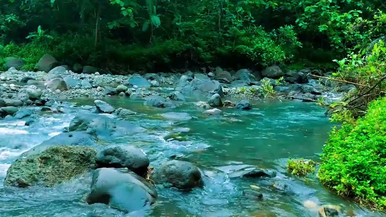 Beautiful Relaxing Sounds - Stop Overthinking, Stress Relief Music, Sleep Music, Calming Sounds