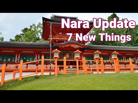 NARA HAS CHANGED | 7 New Things to Know Before Traveling Nara