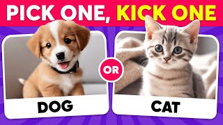 Would You Rather...? Animals Edition 🐶 Monkey Quiz