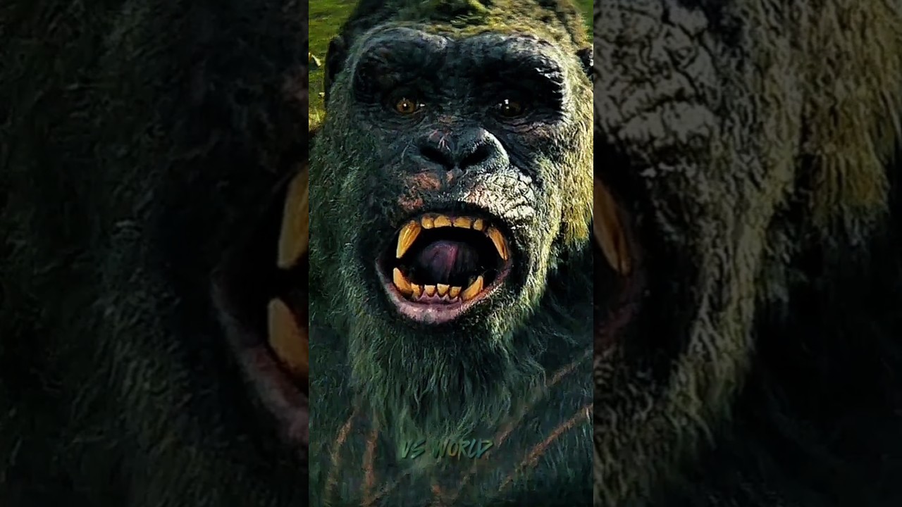 Kong 👑 vs Jurassic all dinosaurs 🦖🦕 