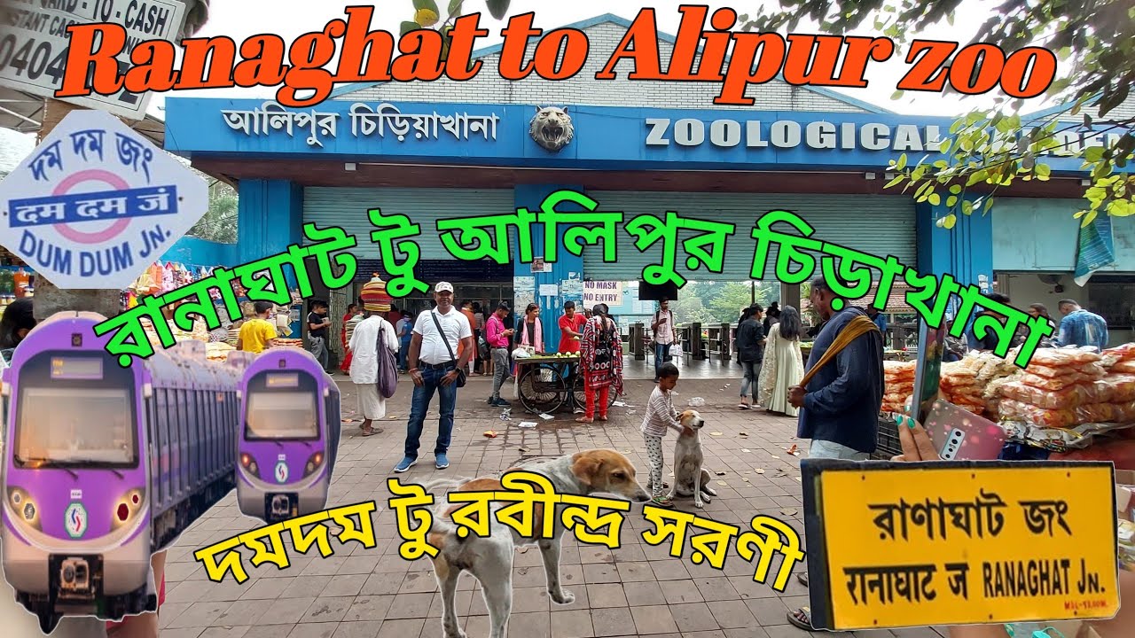 ranaghat-to-alipur-zoo-ranaghat-to-dumdum-dumdum-to-alipore-zoo