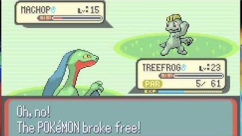 Road to Pokemon Master-Ruby Walkthrough Part 25