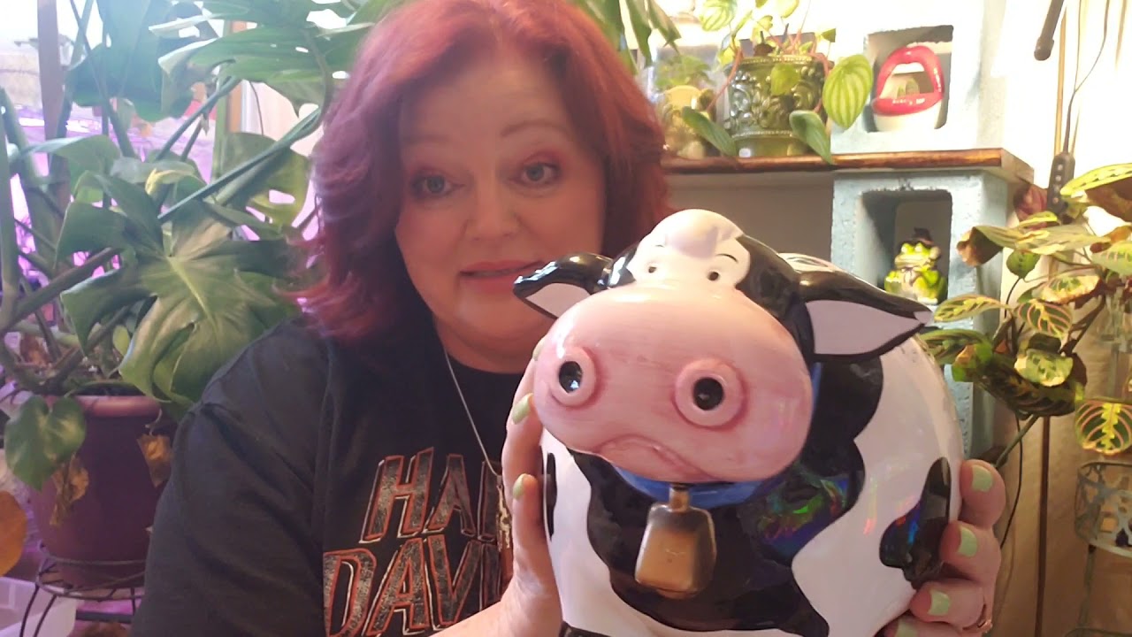 Vintage and Thrifted Planty Things