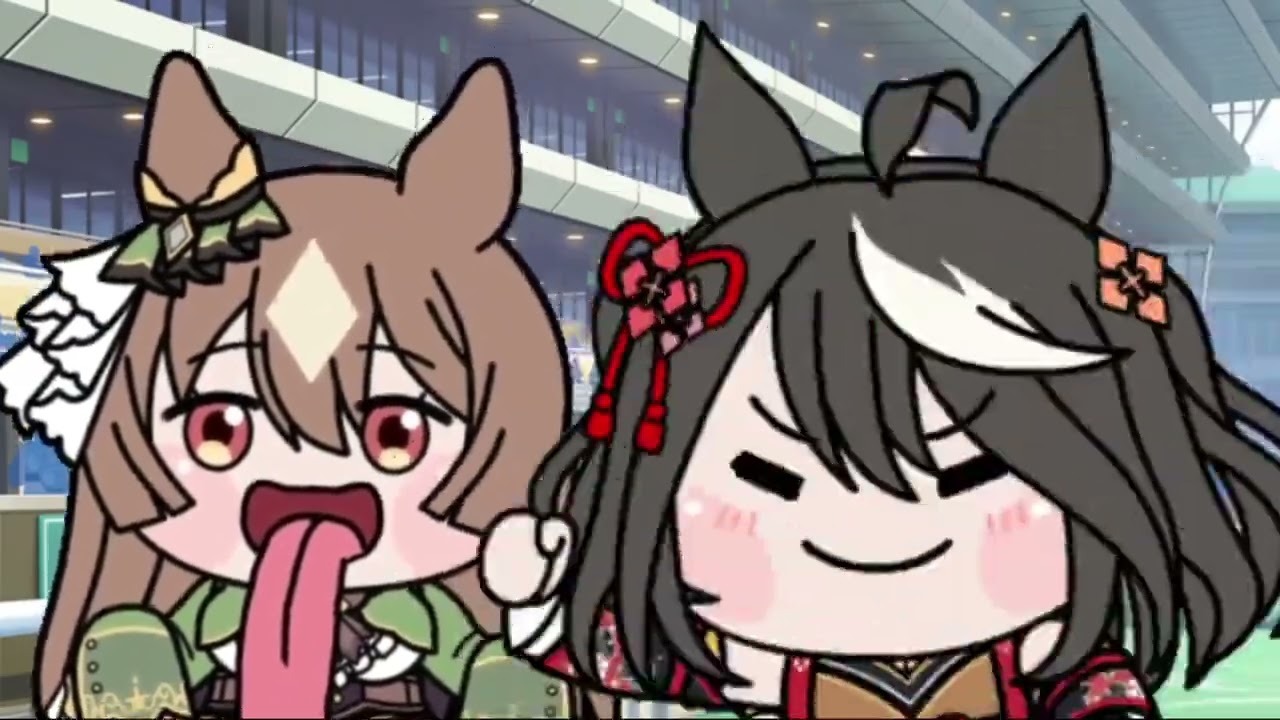 たぬき - YouTube