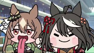 たぬき - YouTube
