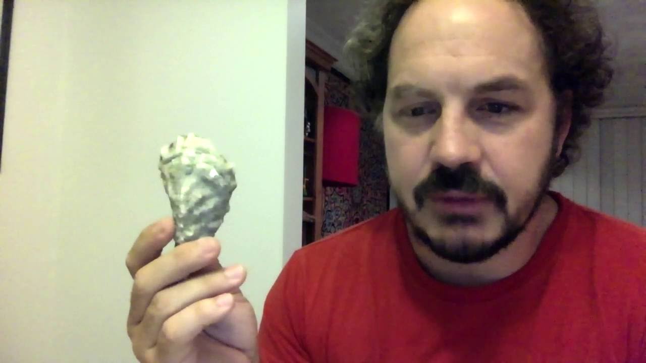 'Oyster' - Filmmaker Pitch