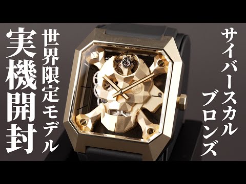 【VANSON】スカル骸骨 シルバー メタル エナメル エンボス 黒 sizeL ガボラトリーのスカル オン スネーク ボーン キーパー ウイズ 2
