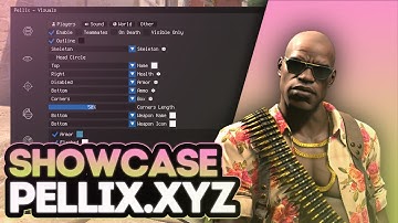 PELLIX.XYZ SHOWCASE BEST CS2 EXTERNAL CHEAT | FREE CONFIG