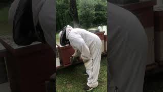 Beekeeper Installs PureWave® Cell | 40 Hive Apiary & Queen Grafting (Texas) Profile