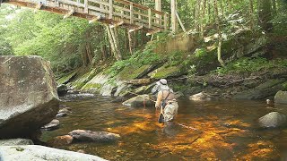 Fly Fishing Big Branch in Vermont