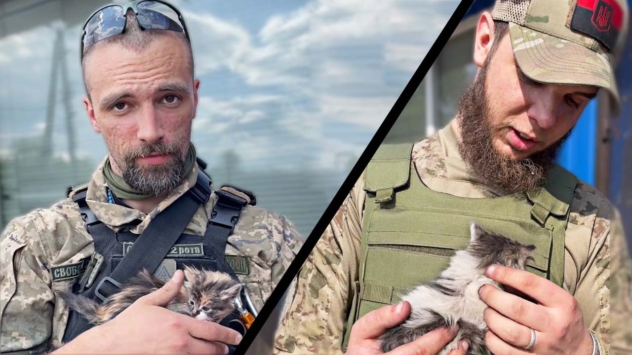 Ukrainian Soldiers Rescue Kittens YouTube