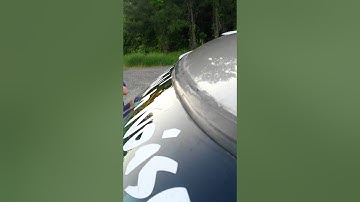 4 CT Sounds Meso 12s on 2 Audioque 3500s