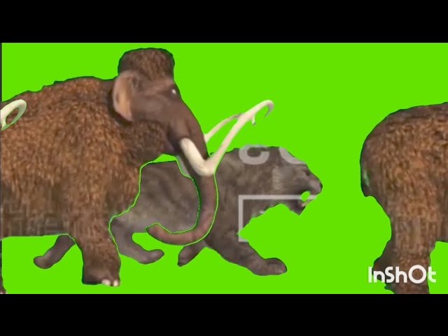 Jumanji Stampede Green Screen jumanji-stampede-green-screen