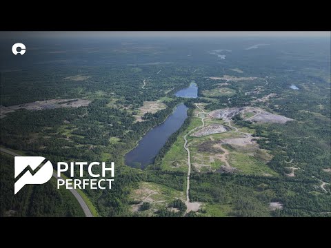 New Found Gold (TSXV:NFG) - Pitch Perfect - February 2026