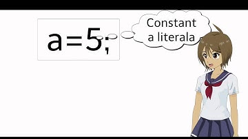 Curs 6 : Tutorial incepatori C++ :Constante