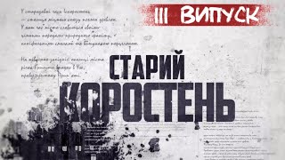 картинка: KorostenTV_06-06-25_Історія забудови міста. Третій випуск.