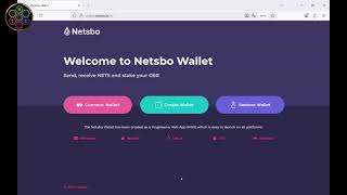 How to create your Wallets and connect to your RSL account screenshot 4