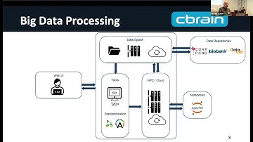 8th BigBrain Workshop 2024: BigBrain data processing with CBRAIN by Bryan Caron